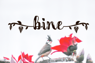 Bine: A Bold Handwritten Font for Authentic Branding