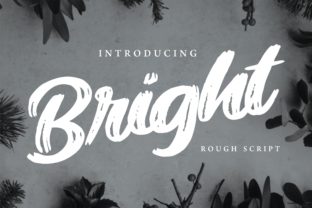Bright: A Bold Script Font for Branding