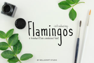 Flamingos: A Cute Script Font for Brand Identity