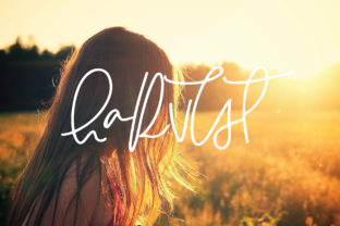 Harvest: A Nostalgic Script Font for Branding