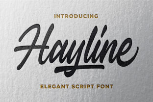 Hayline: The Bold Script Font for Campaigns