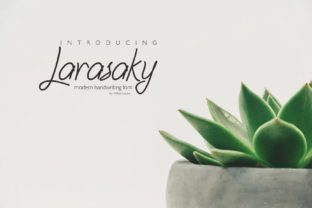 Larasaky: A Premium Script Font for Business Branding