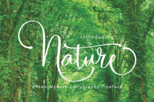 Nature: A Natural Script Font for Modern Web Design