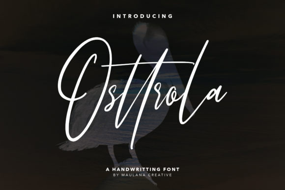 Osttrola: A Modern Script Font for Web Design