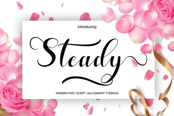 Steady: A Romantic Script Font for Your Brand