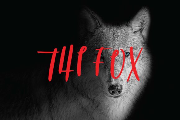 The Fox: A Playful Script Font for Web Design